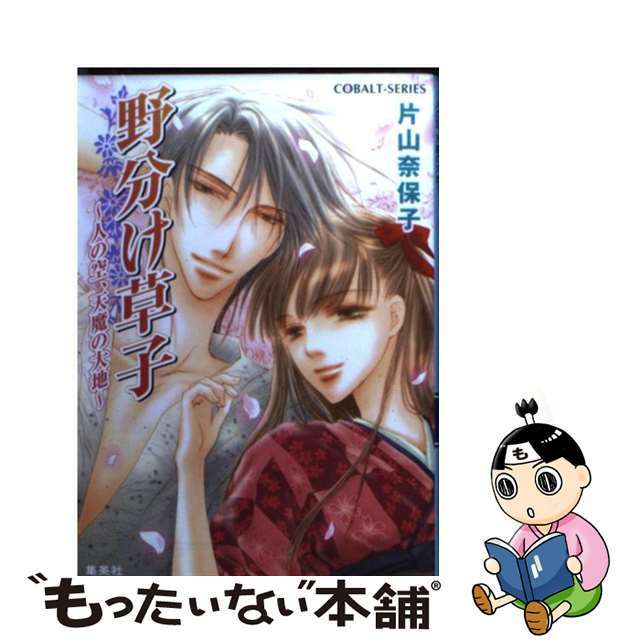 野分け草子 人の空、天魔の大地/集英社/片山奈保子