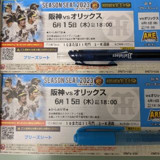 ハンシンタイガース(阪神タイガース)の6/15（木）阪神対オリックス戦ブリーズシート２枚(野球)