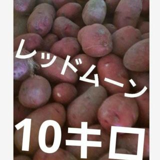 ❤️ほりたて新じゃがいも　レッドムーン　10キロ送料込 4500円(野菜)