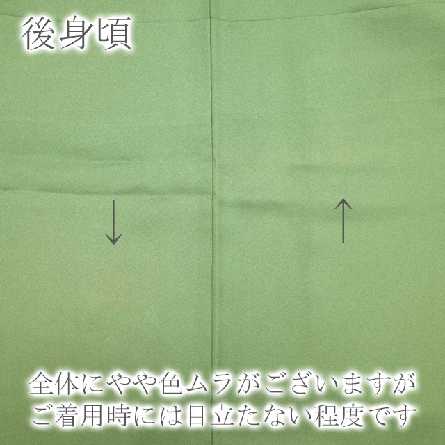 すごい値！訪問着 袷 着物 正絹 ぼかし染 抹茶色 葡萄 ぶどう 地紙 梅 椿 金彩加工  仕立て上がり 身丈163 裄66 Ｌ みやがわ nek00618