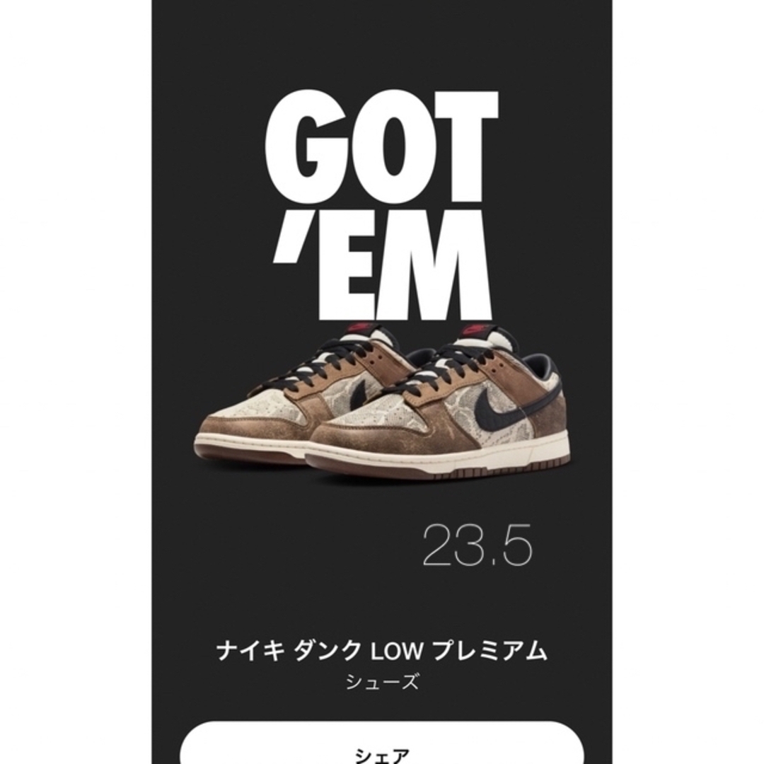 NIKE(ナイキ)の新品　Nike Dunk Low PRM "Head 2 Head ダンクロー メンズの靴/シューズ(スニーカー)の商品写真