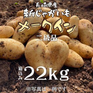 【6/15迄】新じゃがいも（メークイン）お買得(野菜)