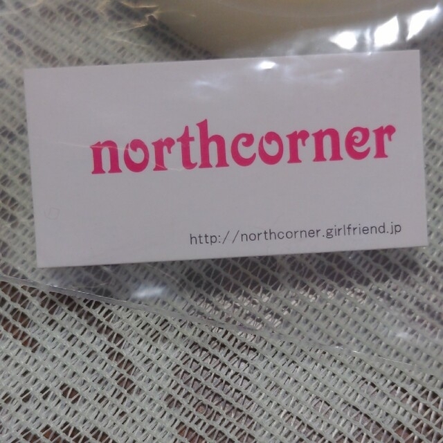 northcorner(ノースコーナー)のネックレス40cm程 レディースのアクセサリー(ネックレス)の商品写真