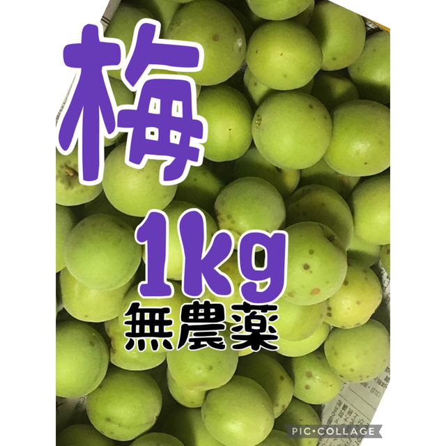 梅 1kg 無農薬の通販 by 空笑｜ラクマ