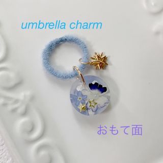 R-37 umbrella charm ハンドメイド　ドライフラワー　レジン(キーホルダー/ストラップ)