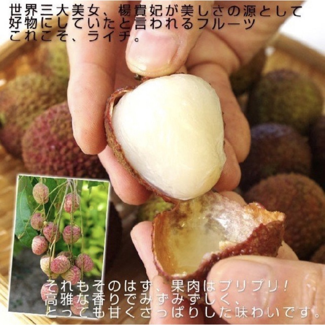 台湾から直輸入 高級 生ライチ  玉荷包(ぎょっかほう)  約300g 食品/飲料/酒の食品(フルーツ)の商品写真