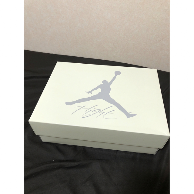 Jordan Brand（NIKE）(ジョーダン)のエアジョーダン4 SB 28センチ メンズの靴/シューズ(スニーカー)の商品写真