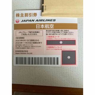 ジャル(ニホンコウクウ)(JAL(日本航空))の【マエさん様専用】夏休みに!JAL 株主優待券　株主割引航空券　1枚(航空券)