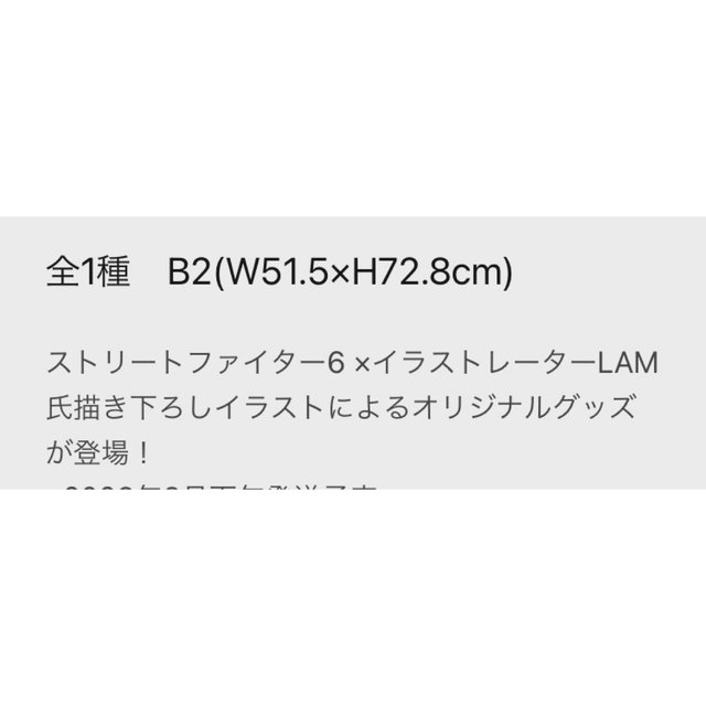 CAPCOM(カプコン)の【匿名配送】カプとれ×ストリートファイター6 タペストリー エンタメ/ホビーのおもちゃ/ぬいぐるみ(キャラクターグッズ)の商品写真