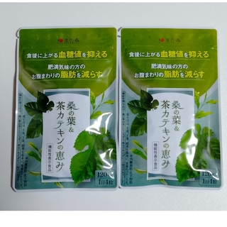 【新品・未開封】和漢の森 桑の葉＆茶カテキンの恵み 120粒 × 2袋セット(ダイエット食品)