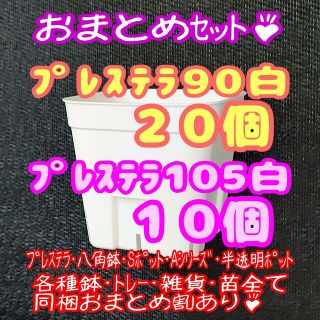 【スリット鉢】プレステラ90白20個・105白10個 多肉植物 プラ鉢(プランター)