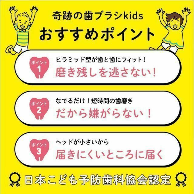 格安店 奇跡の歯ブラシ 大人用 2本セット 色選べます 本数変更も可能