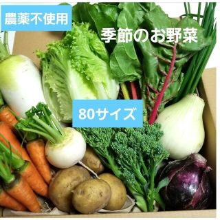 農薬不使用　季節のお野菜　Mサイズ　野菜詰め合わせ(野菜)