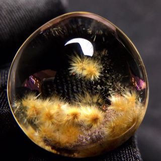 ⭐︎【天然】フラワールチルオーツ ルース 9.5g - www.ecotours-of