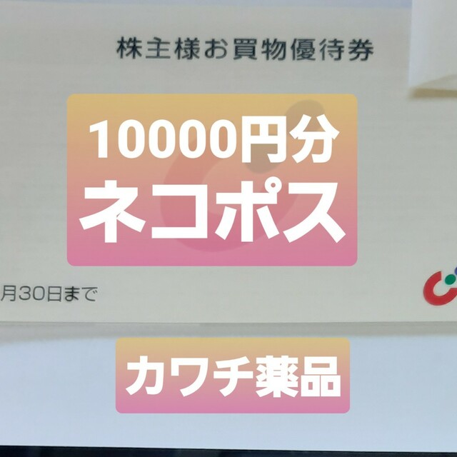 カワチ薬品　株主優待　10000円分