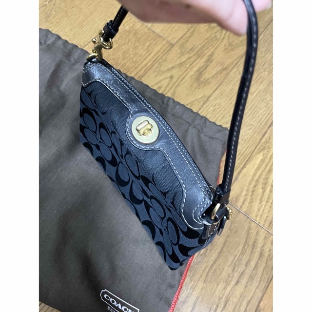 COACHパーティー用バック