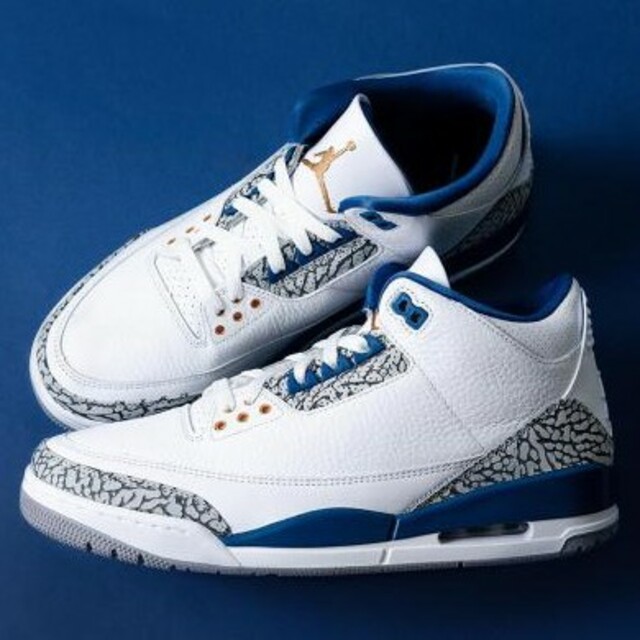 Jordan Brand（NIKE）(ジョーダン)のAIR JORDAN 3 RETRO (TRUE BLUE  ) メンズの靴/シューズ(スニーカー)の商品写真