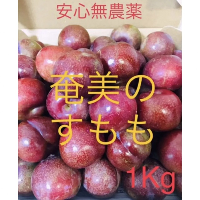 週末割(^^)/】奄美大島産 無農薬 すもも プラム SALEの通販 by kuyu's