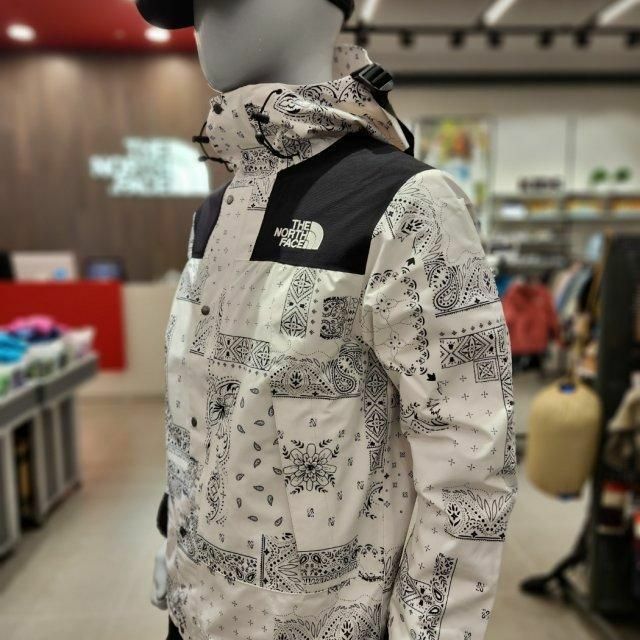 THE NORTH FACE - 激レア 韓国限定❗️ノースフェイス マウンテン