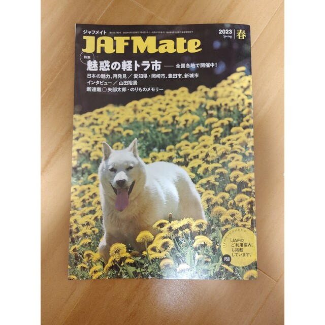 JAFMate エンタメ/ホビーのタレントグッズ(男性タレント)の商品写真
