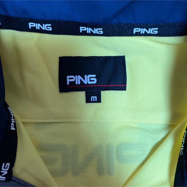 ping ピン　ゴルフウェア　ハーフジップ　モックネックシャツ　メンズ　M YL