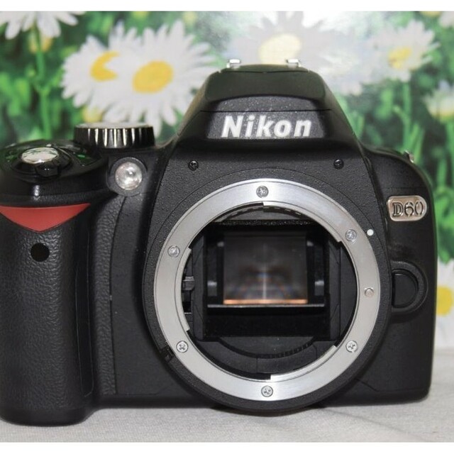 Nikon - ❤初心者向け美品セット❤Nikon ニコン D60 一眼レフカメラ