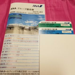 エーエヌエー(ゼンニッポンクウユ)(ANA(全日本空輸))のANA株主優待案内書2枚グループ優待券1冊子(その他)