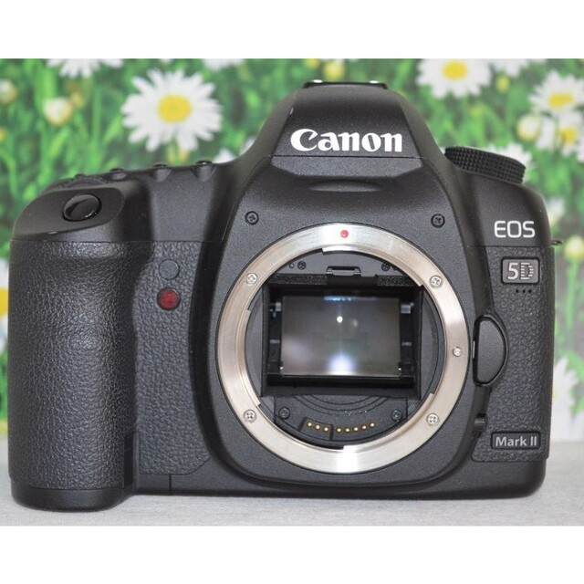 Canon キャノン EOS 5D MarkII❤トリプルレンズ❤フルサイズ❤