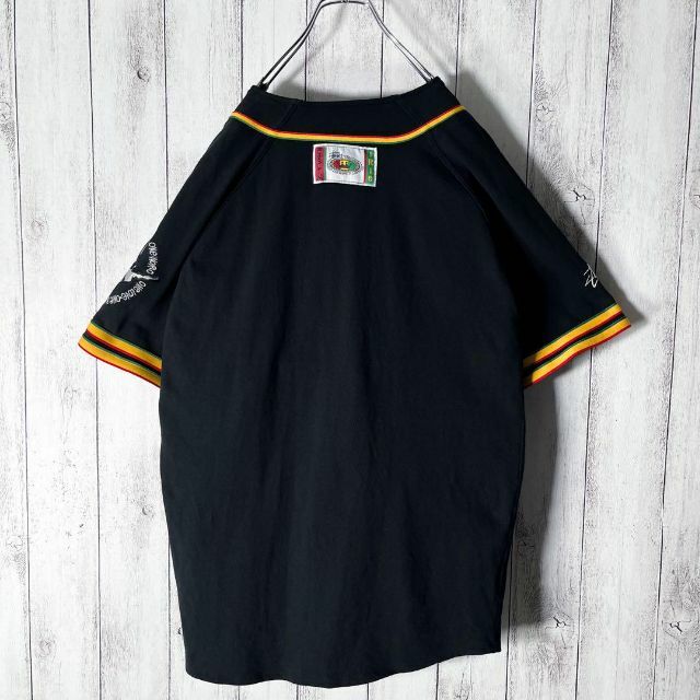 STUSSY - 【美品 黒タグ 80s】ステューシー 総刺繍 ラスタアイリー