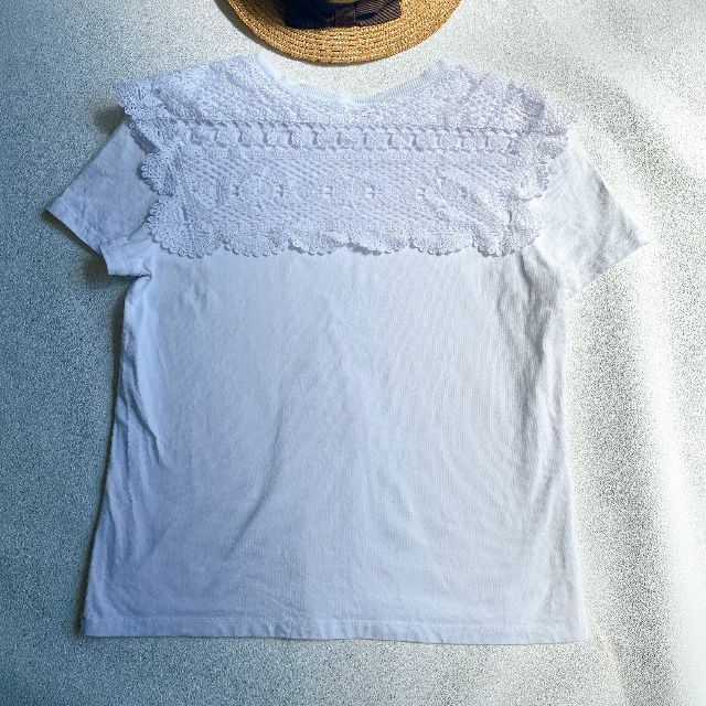 ZARA(ザラ)のZARA　カットワークレース　ビッグカラー　Tシャツ レディースのトップス(Tシャツ(半袖/袖なし))の商品写真