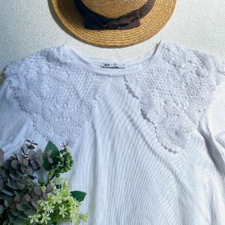 ザラ(ZARA)のZARA　カットワークレース　ビッグカラー　Tシャツ(Tシャツ(半袖/袖なし))