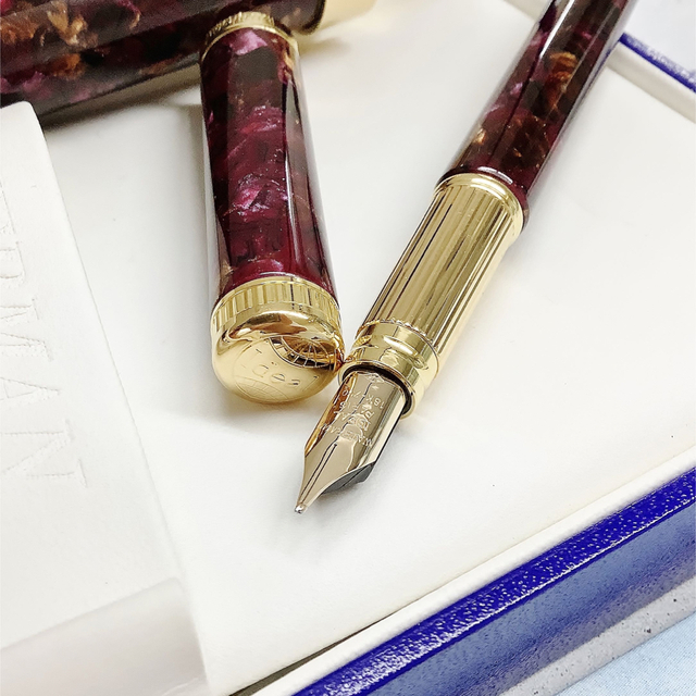 Waterman(ウォーターマン)の未使用 ウォーターマン 万年筆 レディアガサ 18k waterman 箱付き インテリア/住まい/日用品の文房具(ペン/マーカー)の商品写真