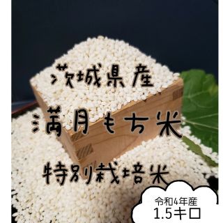 (2-5)　満月もち米　1.5キロ　令和4年産　餅米(米/穀物)