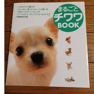 まるごとチワワｂｏｏｋ(犬)