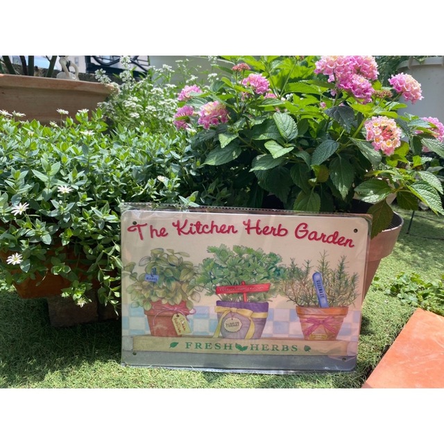 入園入学祝い ブリキ看板C ガーデニング雑貨 薔薇 インテリア雑貨 ガーデニンググッズ