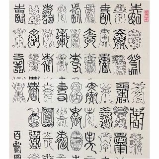 掛軸 陳勇光『百寿図』茶掛け 中国書法 紙本 肉筆 共箱付 掛け軸 R021