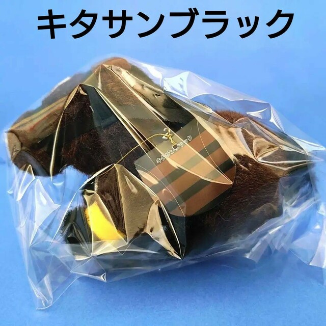 稀少】キタサンブラック ぬいぐるみ ウマ娘 アイドルホース 競馬