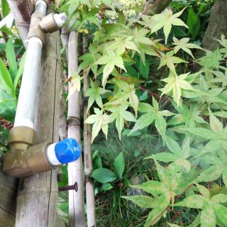 霧のいけうち ミスト噴霧(タンク付き) 60HZの通販 by コッティ's