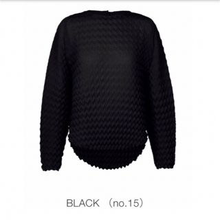 イッセイミヤケ(ISSEY MIYAKE)のISSEY MIYAKE ROUND PLEATS BLACK(カットソー(長袖/七分))