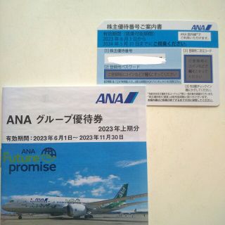 エーエヌエー(ゼンニッポンクウユ)(ANA(全日本空輸))のANA 株主優待券、グループ優待券(その他)