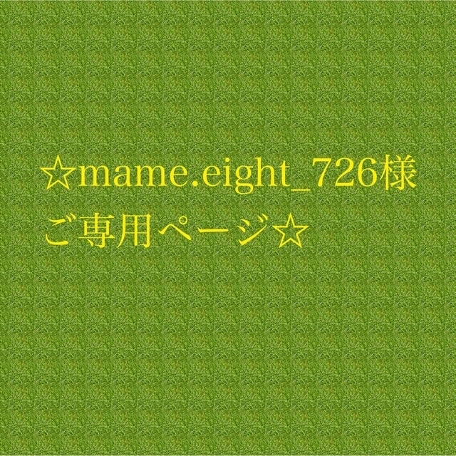 アウトレット評判 mame.eight_726様 ご専用ページです ハンドメイド