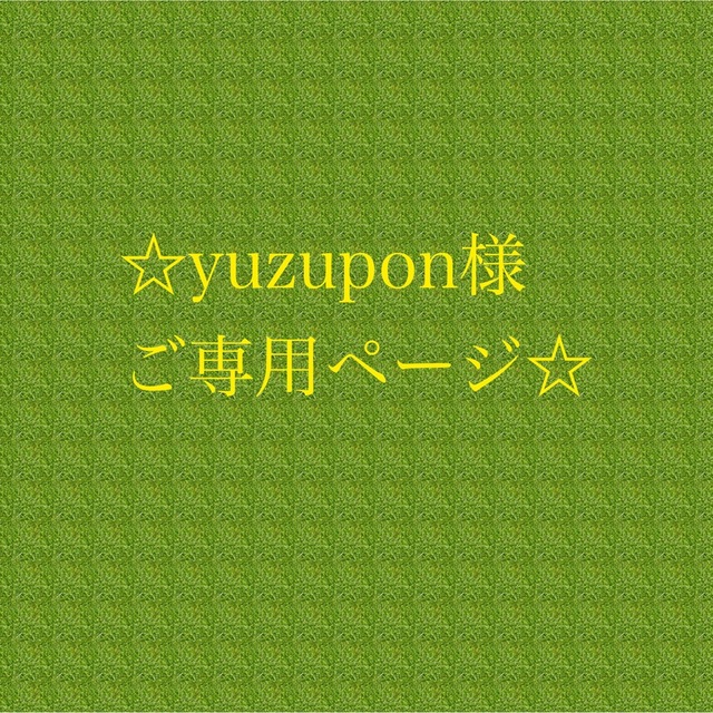 yuzupon様ご専用ページです☆の通販 by miiyavi_stone｜ラクマ