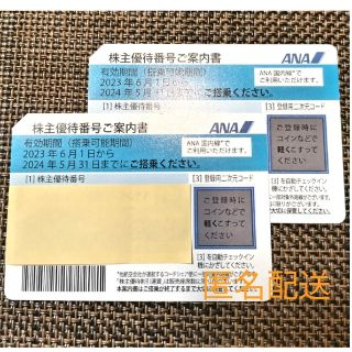 エーエヌエー(ゼンニッポンクウユ)(ANA(全日本空輸))の全日空 ANA 株主優待券 2枚【有効期限  2024年5月31日】(その他)