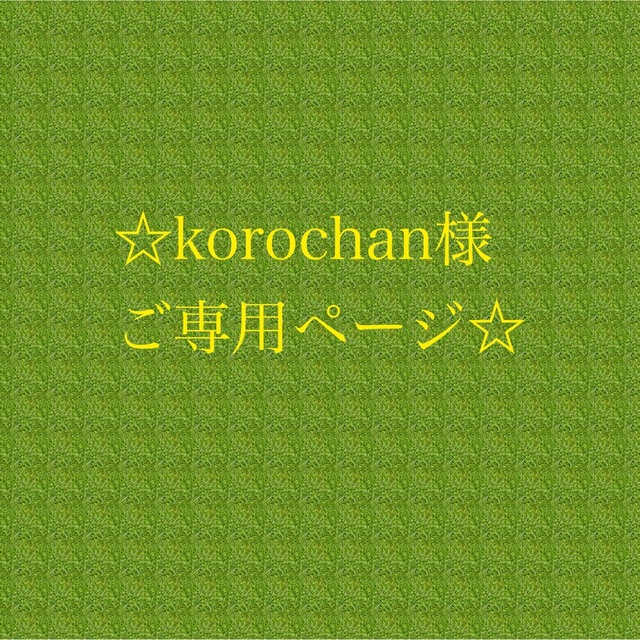 売上げNo.1 korochan様ご専用ページです | www.cvsreifen.de