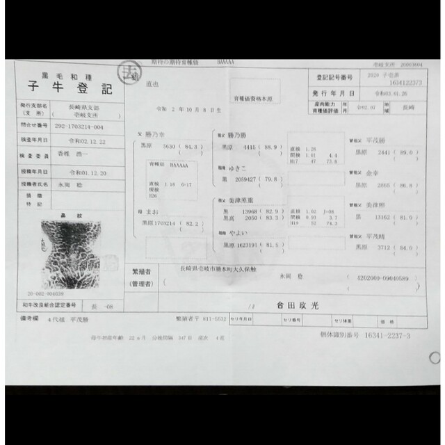 値下げ】国産高級黒毛和牛A5 証明書付 すき焼きしゃぶしゃぶ1.8kg 保冷バッ 食品/飲料/酒の食品(肉)の商品写真