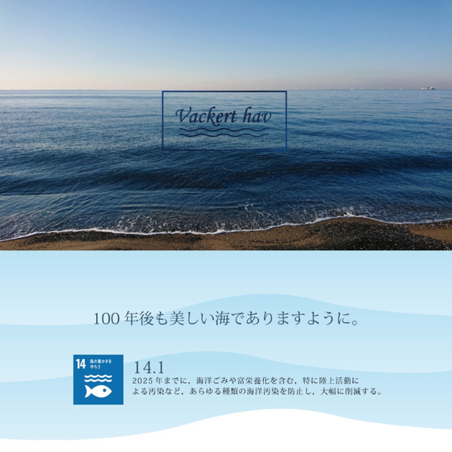 紙（パルプ）でできたセルローススポンジ10枚セット4（120円/枚） インテリア/住まい/日用品のキッチン/食器(収納/キッチン雑貨)の商品写真