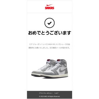 ナイキ(NIKE)のAIR JORDAN 1  SMOKE GREY(スニーカー)