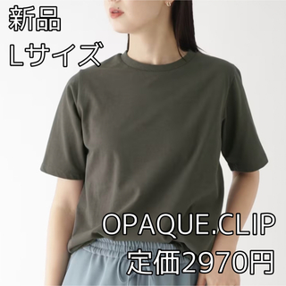 オペークドットクリップ(OPAQUE.CLIP)の3512⭐︎OPAQUE.CLIPスペシャルコットン天竺 クルーネックTシャツ(Tシャツ(半袖/袖なし))