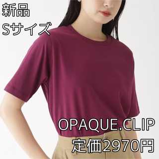 オペークドットクリップ(OPAQUE.CLIP)の3514⭐︎OPAQUE.CLIPスペシャルコットン天竺 クルーネックTシャツ(Tシャツ(半袖/袖なし))