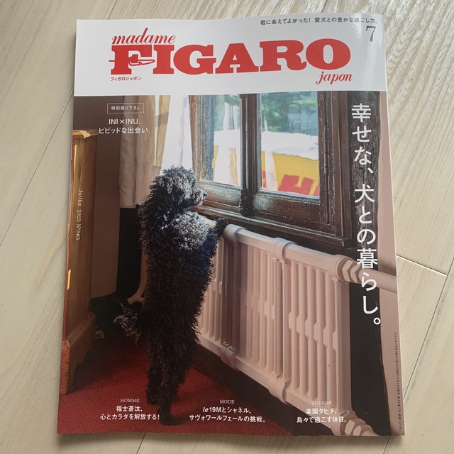 madame FIGARO japon (フィガロ ジャポン) 2023年 07 エンタメ/ホビーの雑誌(その他)の商品写真